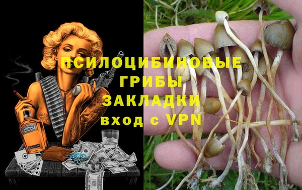 героин Осинники
